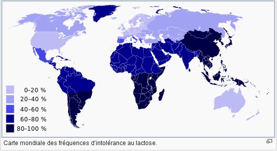 intolerance lactose monde