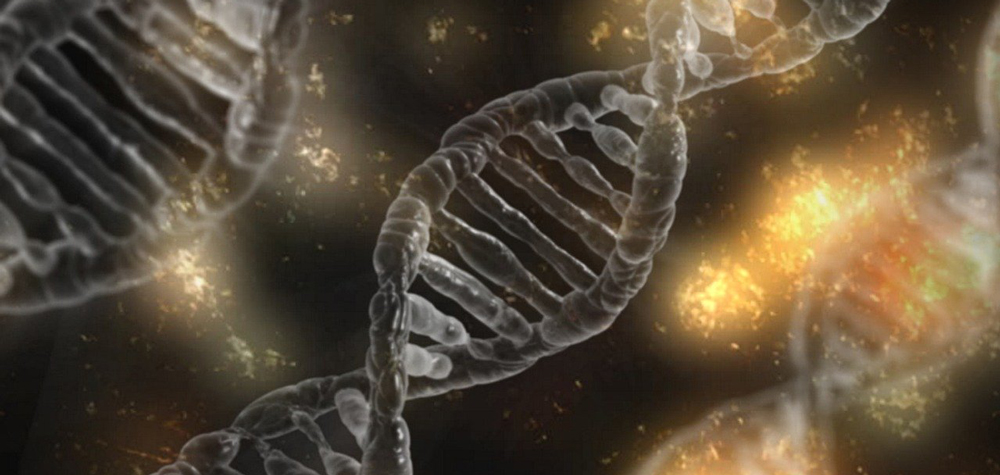 Biologie et génétique – Les dégâts du stress ne sont pas une vue de l’esprit – Partie 5